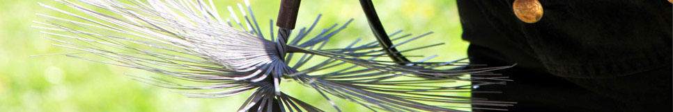 Banner - Mike Müller